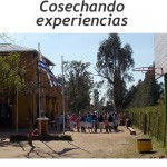 1312Cosechandoexperiencias