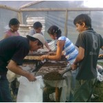 Unsaltogrande3